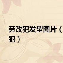 劳改犯发型图片（劳改犯）
