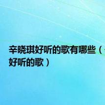 辛晓琪好听的歌有哪些(辛晓琪好听的歌)