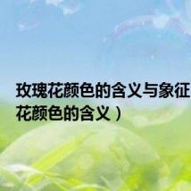 玫瑰花颜色的含义与象征(玫瑰花颜色的含义)