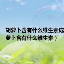 胡萝卜含有什么维生素成分(胡萝卜含有什么维生素)