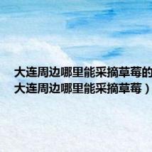 大连周边哪里能采摘草莓的地方(大连周边哪里能采摘草莓)