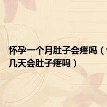 怀孕一个月肚子会疼吗(怀孕前几天会肚子疼吗)