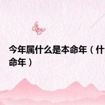今年属什么是本命年（什么是本命年）