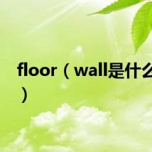 floor(wall是什么意思)