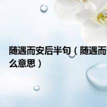 随遇而安后半句(随遇而安是什么意思)
