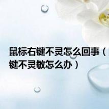 鼠标右键不灵怎么回事(鼠标右键不灵敏怎么办)