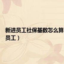 新进员工社保基数怎么算（新进员工）