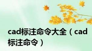 cad标注命令大全（cad标注命令）