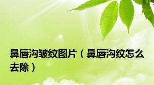 鼻唇沟皱纹图片（鼻唇沟纹怎么去除）