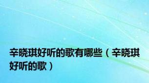辛晓琪好听的歌有哪些（辛晓琪好听的歌）