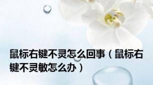 鼠标右键不灵怎么回事（鼠标右键不灵敏怎么办）