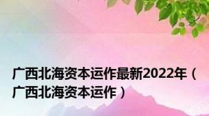 广西北海资本运作最新2022年（广西北海资本运作）