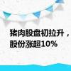 猪肉股盘初拉升，立华股份涨超10%