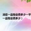 汤臣一品物业费多少一平（汤臣一品物业费多少）