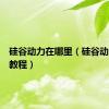 硅谷动力在哪里（硅谷动力视频教程）