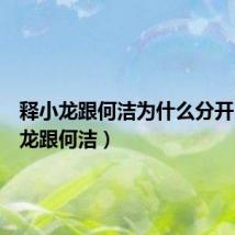 释小龙跟何洁为什么分开(释小龙跟何洁)