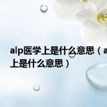 alp医学上是什么意思(alt医学上是什么意思)