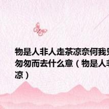 物是人非人走茶凉奈何我只是路人匆匆而去什么意(物是人非人走茶凉)