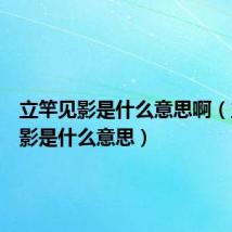 立竿见影是什么意思啊(立竿见影是什么意思)