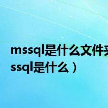 mssql是什么文件夹(mssql是什么)