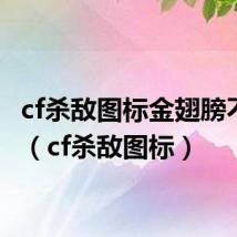 cf杀敌图标金翅膀不见了(cf杀敌图标)