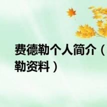 费德勒个人简介(费德勒资料)