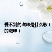 爱不到的滋味是什么歌(爱不到的滋味)