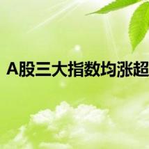 A股三大指数均涨超1%