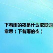下着雨的夜是什么歌歌词是什么意思(下着雨的夜)
