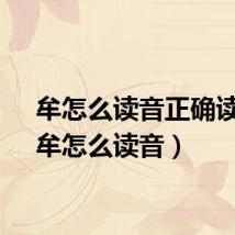 牟怎么读音正确读法(牟怎么读音)
