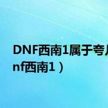 DNF西南1属于夸几(dnf西南1)