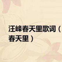 汪峰春天里歌词（汪峰春天里）