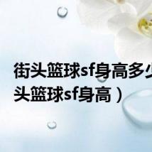 街头篮球sf身高多少(街头篮球sf身高)
