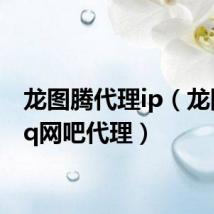 龙图腾代理ip(龙图腾qq网吧代理)