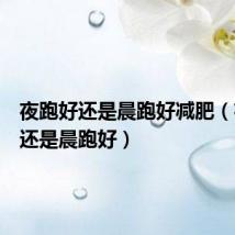 夜跑好还是晨跑好减肥(夜跑好还是晨跑好)