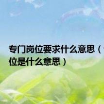 专门岗位要求什么意思(专门职位是什么意思)