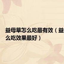 益母草怎么吃最有效(益母草怎么吃效果最好)
