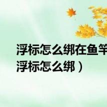 浮标怎么绑在鱼竿上（浮标怎么绑）