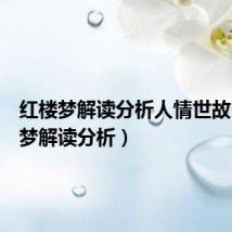 红楼梦解读分析人情世故(红楼梦解读分析)