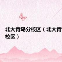 北大青鸟分校区(北大青鸟徐东校区)