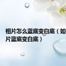 相片怎么蓝底变白底(如何把相片蓝底变白底)