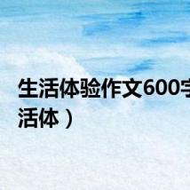 生活体验作文600字（生活体）