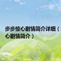 步步惊心剧情简介详细(步步惊心剧情简介)