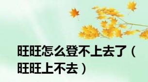 旺旺怎么登不上去了（旺旺上不去）