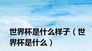 世界杯是什么样子（世界杯是什么）