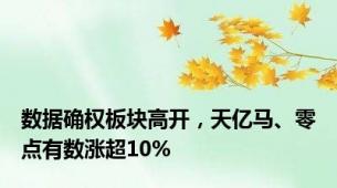 数据确权板块高开，天亿马、零点有数涨超10%