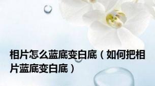 相片怎么蓝底变白底（如何把相片蓝底变白底）