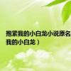 抱紧我的小白龙小说原名（抱紧我的小白龙）