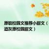 原耽校园文推荐小甜文（柯哀王道灰原校园甜文）