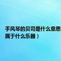 手风琴的贝司是什么意思(钢琴属于什么乐器)